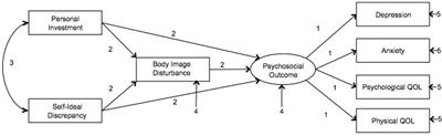 The Role of Body Image on Psychosocial Outcomes in People With Diabetes and People With an Amputation